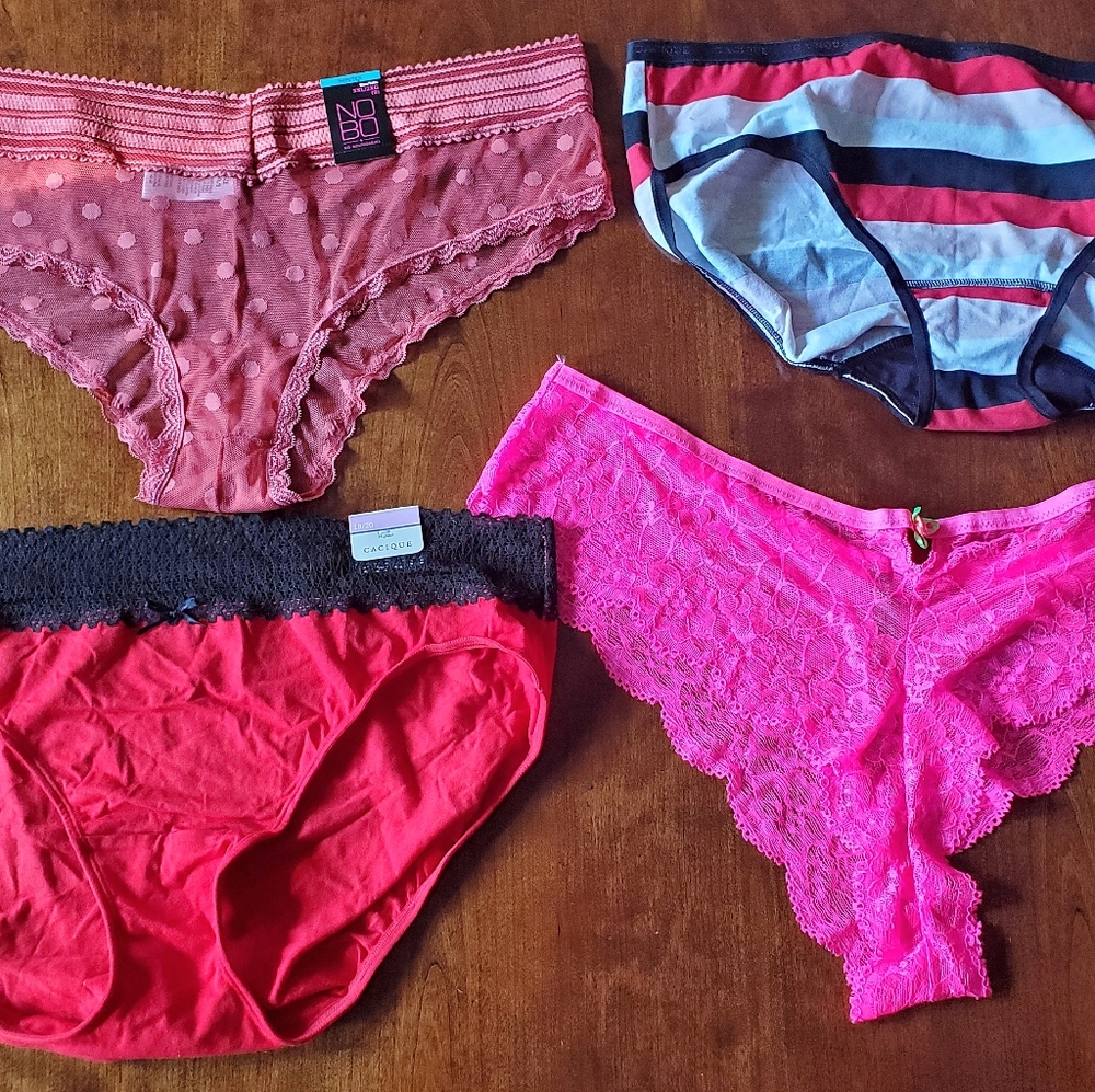 4 prs Brand New Plus Size Panties